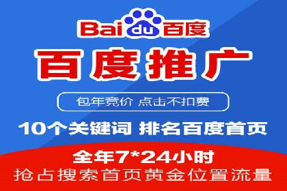 竞价广告策略案例分析