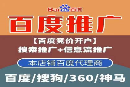 案例解读：SEO与SEM优化助力电商崛起